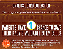 CBR Collection Infographic